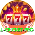 all cricket Slots Supreme v4.8.7