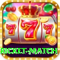 bangladesh cricket match VIP Edition v4.0.2