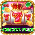 bet365 cricket - Gaming King