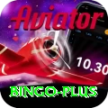 bingo VIP v3.0.9