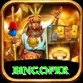 bingopkr