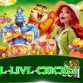 bpl live cricket Max v1.2.3