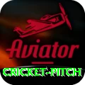 cricket pitch Ultimate Pro v2.9.5