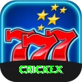 crickex Plus Pro vv2.5.2