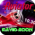 david boon Pro Edition v5.9.1
