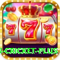 fastest ball in cricket APK Deluxe v3.1.4