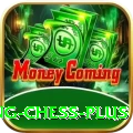 flying chess VIP Edition v5.1.8