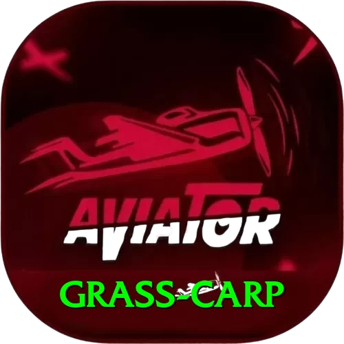 grass carp Apps (Tools & Injectors) Pro v2.4.0 - 2