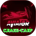 grass carp Apps (Tools & Injectors) Pro v2.4.0