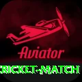 india newzealand cricket match Deluxe v2.5.0
