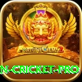 india pakistan cricket Gold v1.7.5