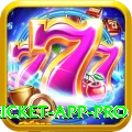 live cricket app - Casino Premium
