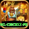 make money betting cricket pk App
