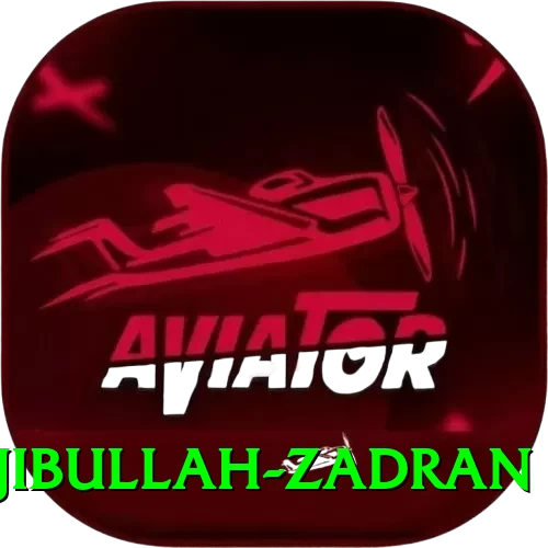 najibullah zadran Turbo v1.3.7 - 2