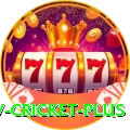 ndtv cricket Royal Casino App