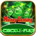 nepal cricket Game Elite v4.5.5