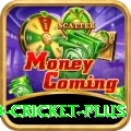 new zealand cricket - Slots Elite