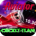 pakistan women cricket team Deluxe v2.0.8