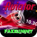 pakrummy Pro Edition v5.7.3