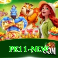 pk11 Live Casino VIP