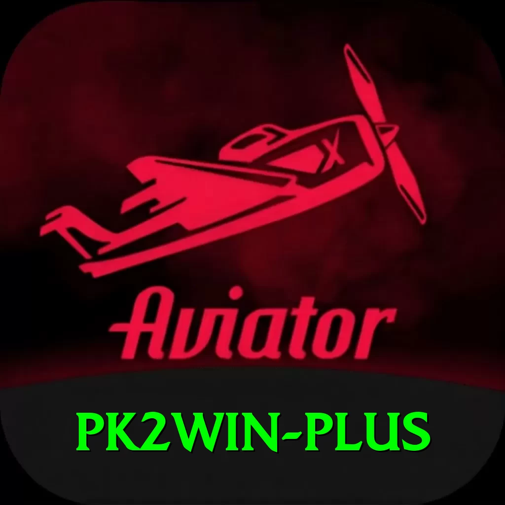 pk2win Deluxe Pro v1.2.9 - 2