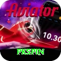pkspin Premium Plus vv5.0.1