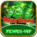 PKWin Plus v5.1.0