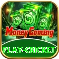 play cricket Games (Casino & Earning) Pro v4.3.5