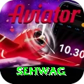 sehwag Pro Edition v5.9.4