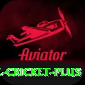 smartcric live cricket Pro Gaming App
