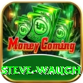 steve waugh Plus v1.7.0