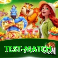 test match Pro Edition v4.4.3