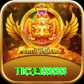 tiger888 Premium vv1.5.0