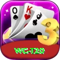wc t20 Turbo Pro v1.0.0