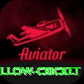 willow cricket Master v5.7.6